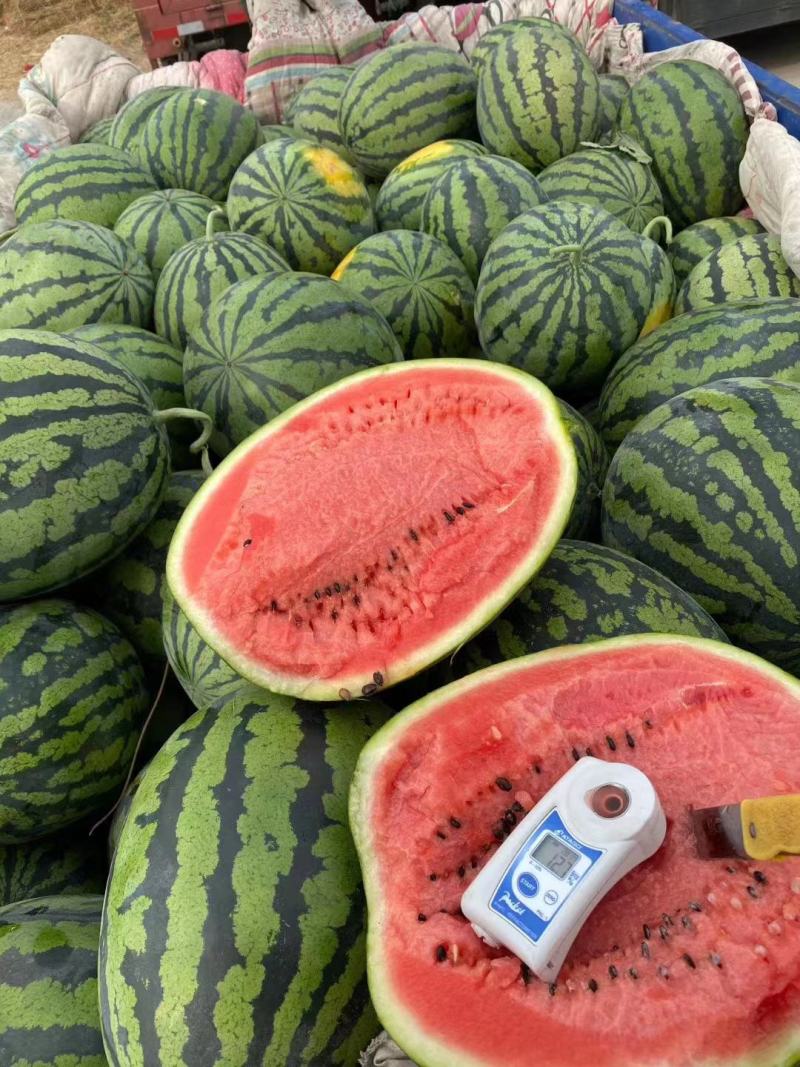 甜王精品瓜大量上市质量上乘红瓤黑籽糖度13