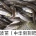 鱼苗青波鱼苗又名中华倒刺粑重庆青波苗包运输下塘
