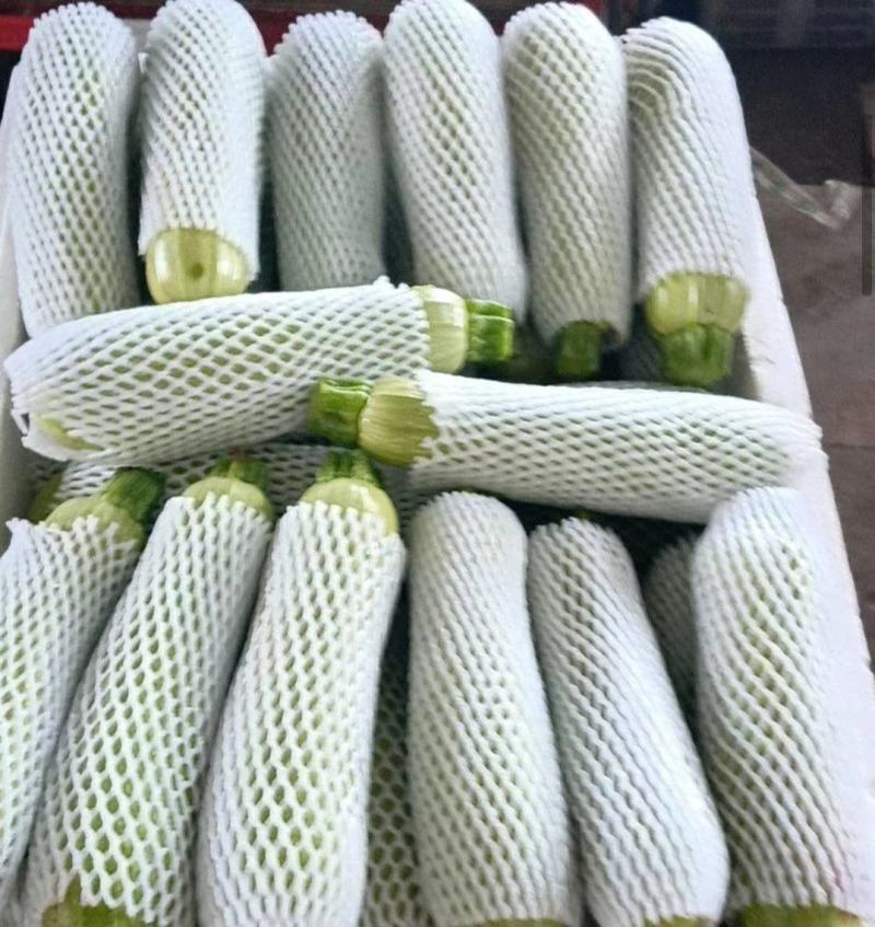 精品西葫芦