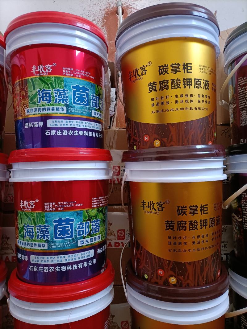碳掌柜黄腐酸钾生根壮苗，果实膨大，果色靓丽。