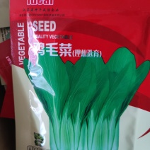 鸡毛菜种子鸡毛菜种子鸡毛菜种子.30克