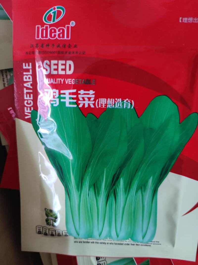 鸡毛菜种子鸡毛菜种子鸡毛菜种子.30克