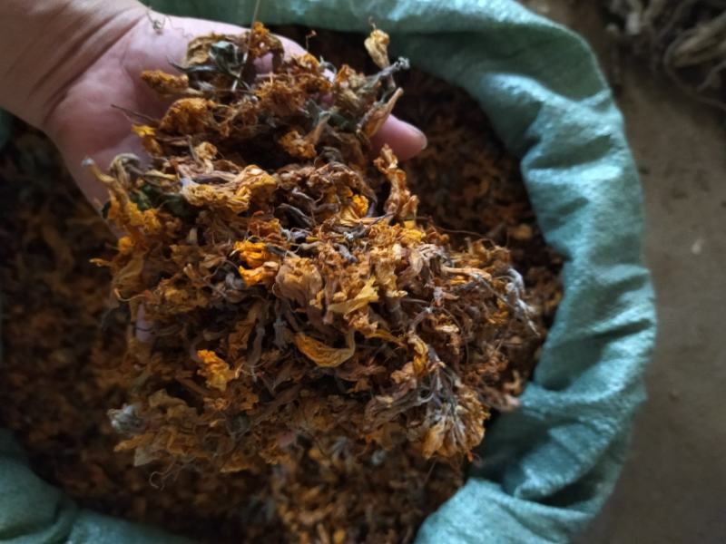 闹羊花老虎花羊踯躅花踯躅花惊羊花