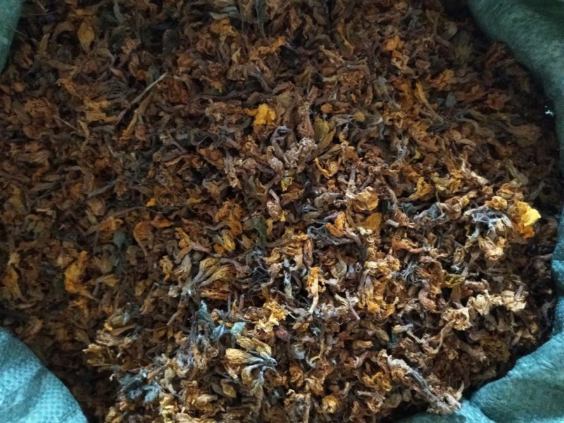 闹羊花老虎花羊踯躅花踯躅花惊羊花