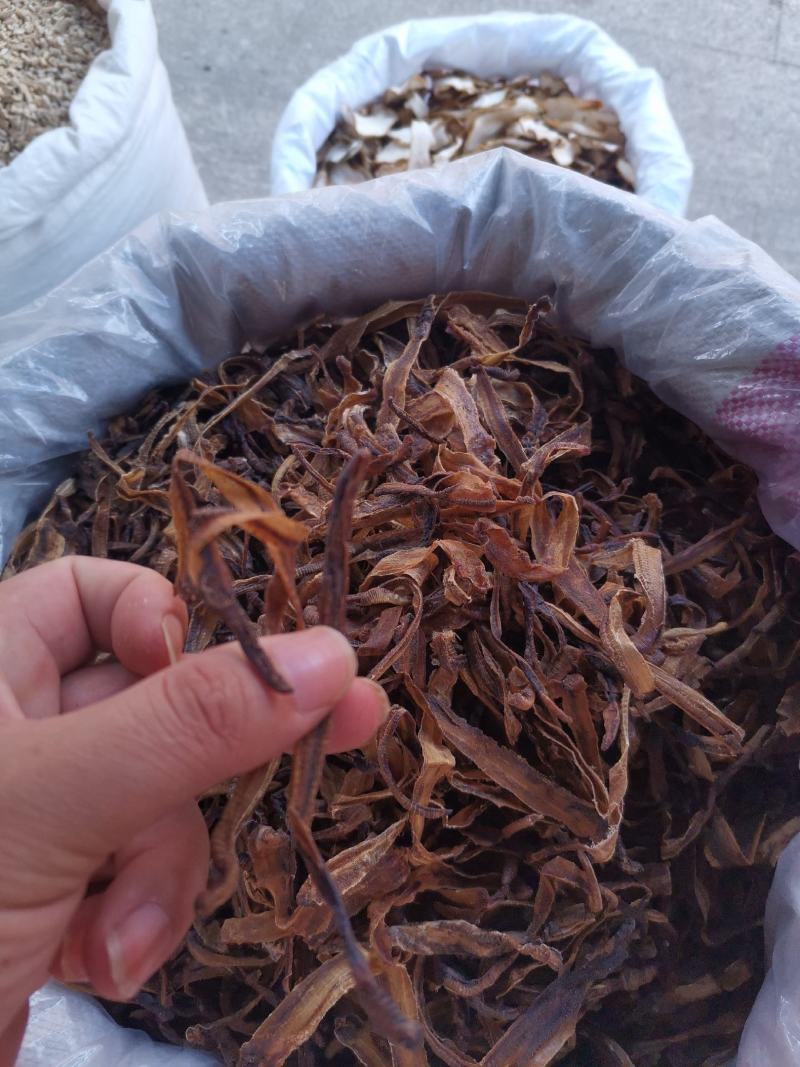 优质广西地龙全开大地龙规格齐全量大从优欢迎选购