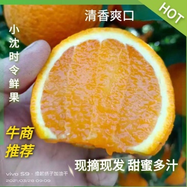 爱媛38号，水份充足，果粒分明，预计十月份上市，口感纯甜