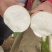 白萝卜供应、产地直销、质量保证、支持各种包装、欢迎采购。