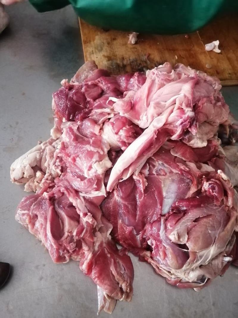 羊腿肉9一斤不调理，可发样品一件起发可定制全