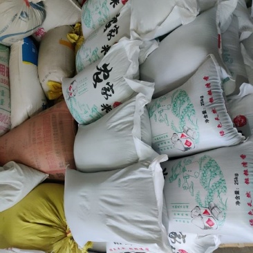 黑小米