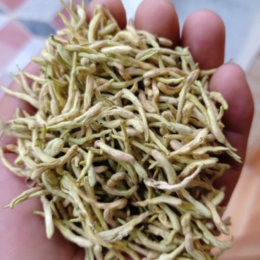 金银花