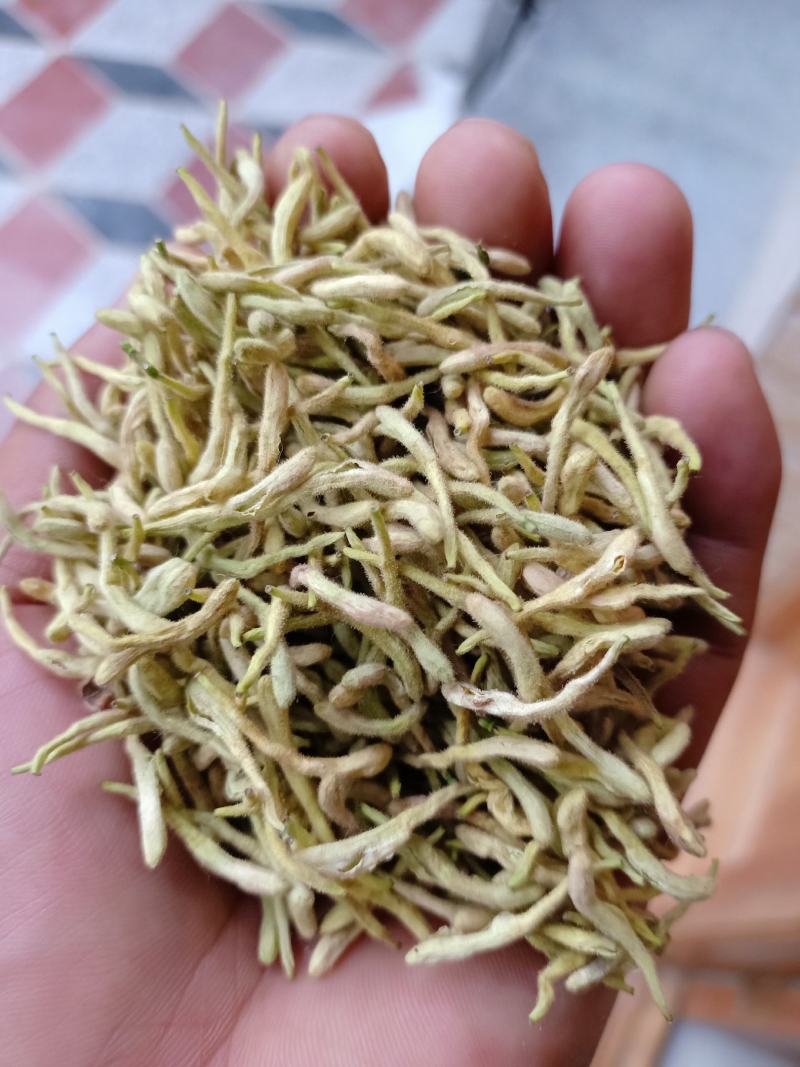 金银花