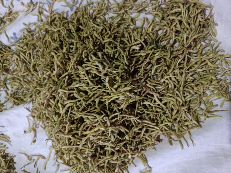 金银花