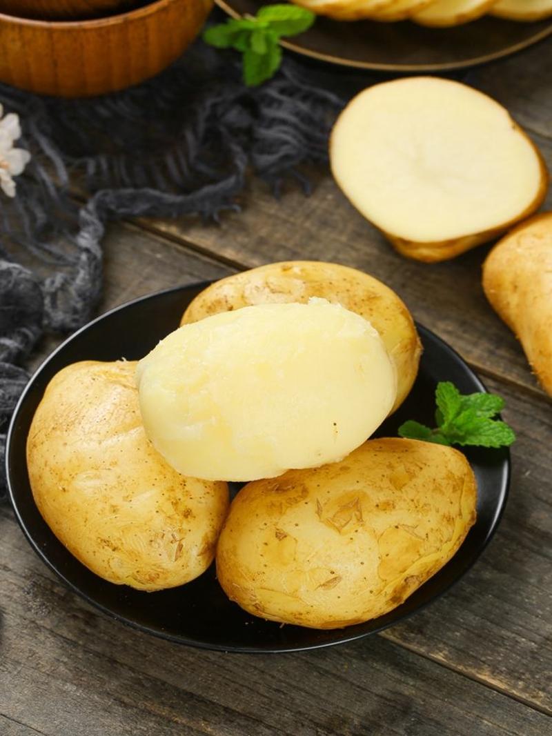 荷兰十五土豆马铃薯土豆洋芋产地一手货源，保质保量