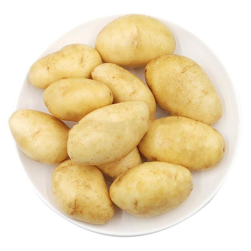 黄心土豆马铃薯洋芋湖北土豆产地一手货源，量大从优