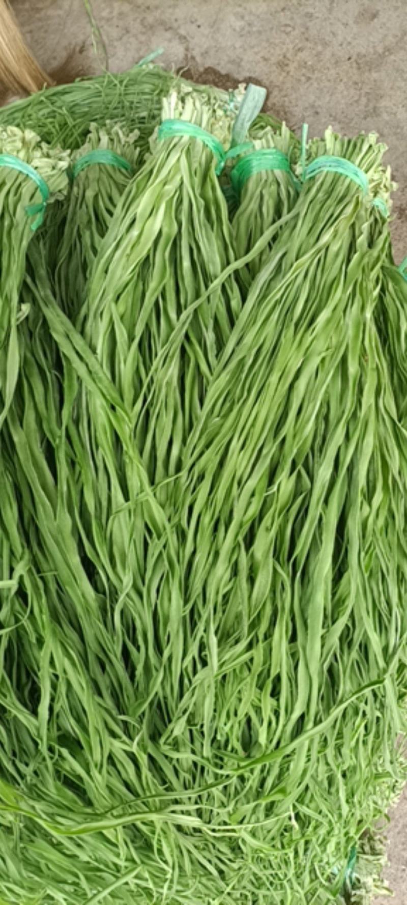 精品贡菜，又称响菜，产地货源