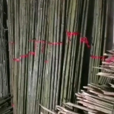 厘竹排山竹菜架竹各种规格都有