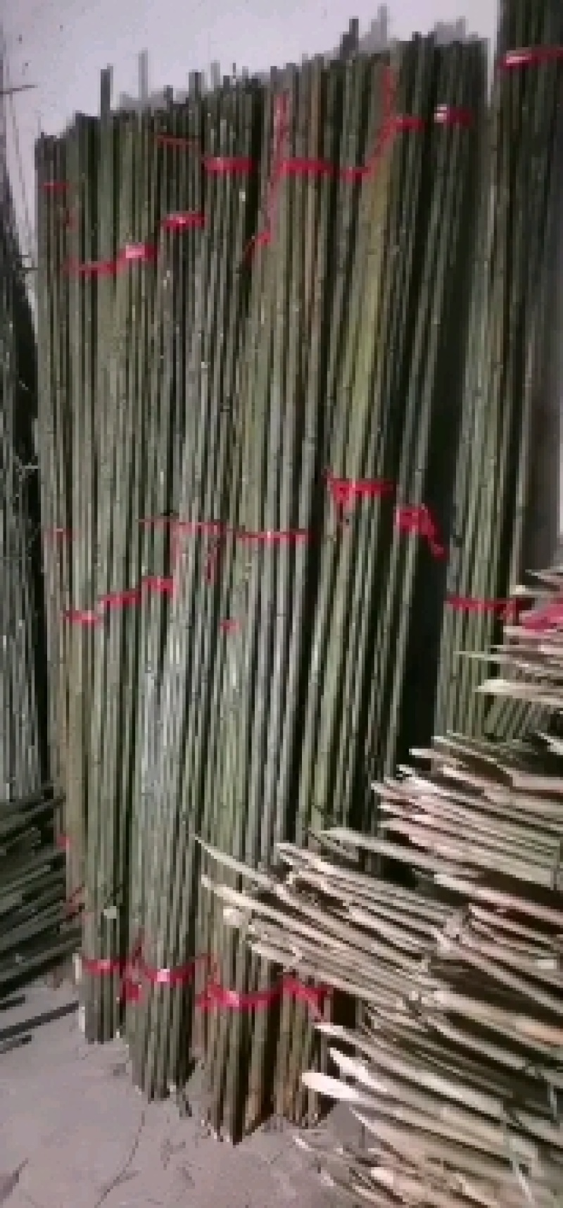 厘竹排山竹菜架竹各种规格都有