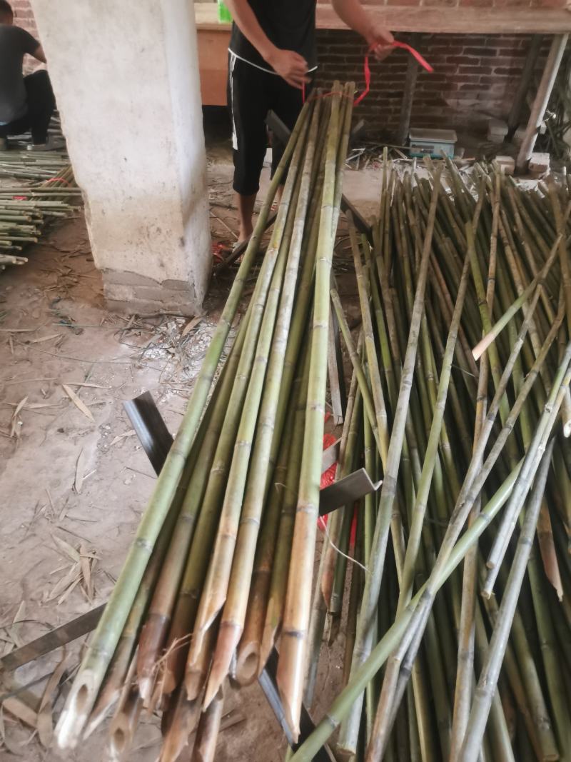 厘竹排山竹菜架竹各种规格都有
