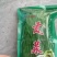 安徽涡阳县贡菜生产加工基地产地直供，价格美丽，欢迎洽谈合作