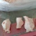 蘑菇筋，膝盖骨，烧烤专用蘑菇筋，烧烤好食材