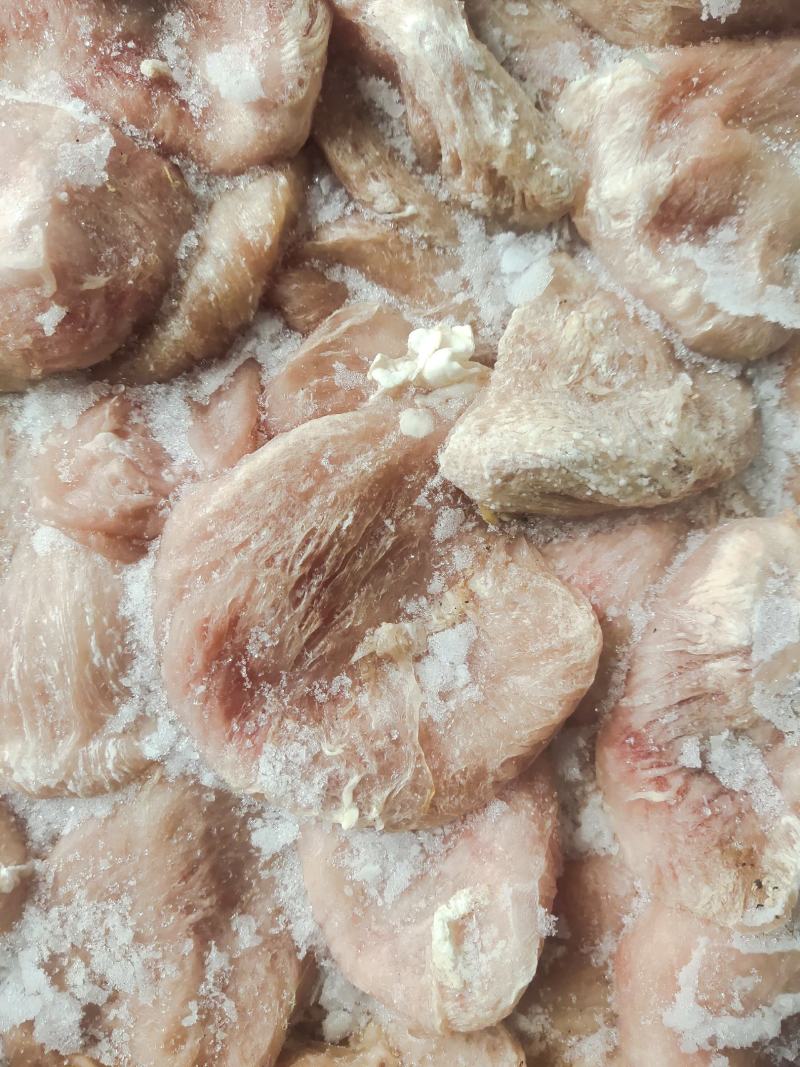 猪小肚，猪尿泡，宝肚肠衣，熟食必备，常年有货