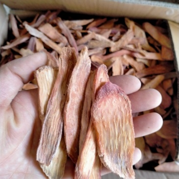 中药材/中药根茎类/锁阳/秋冬季锁阳片，长期有货