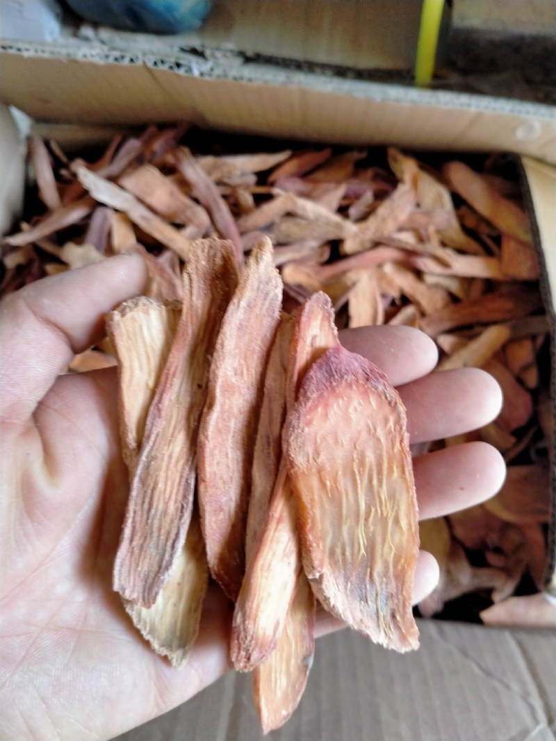 中药材/中药根茎类/锁阳/秋冬季锁阳片，长期有货