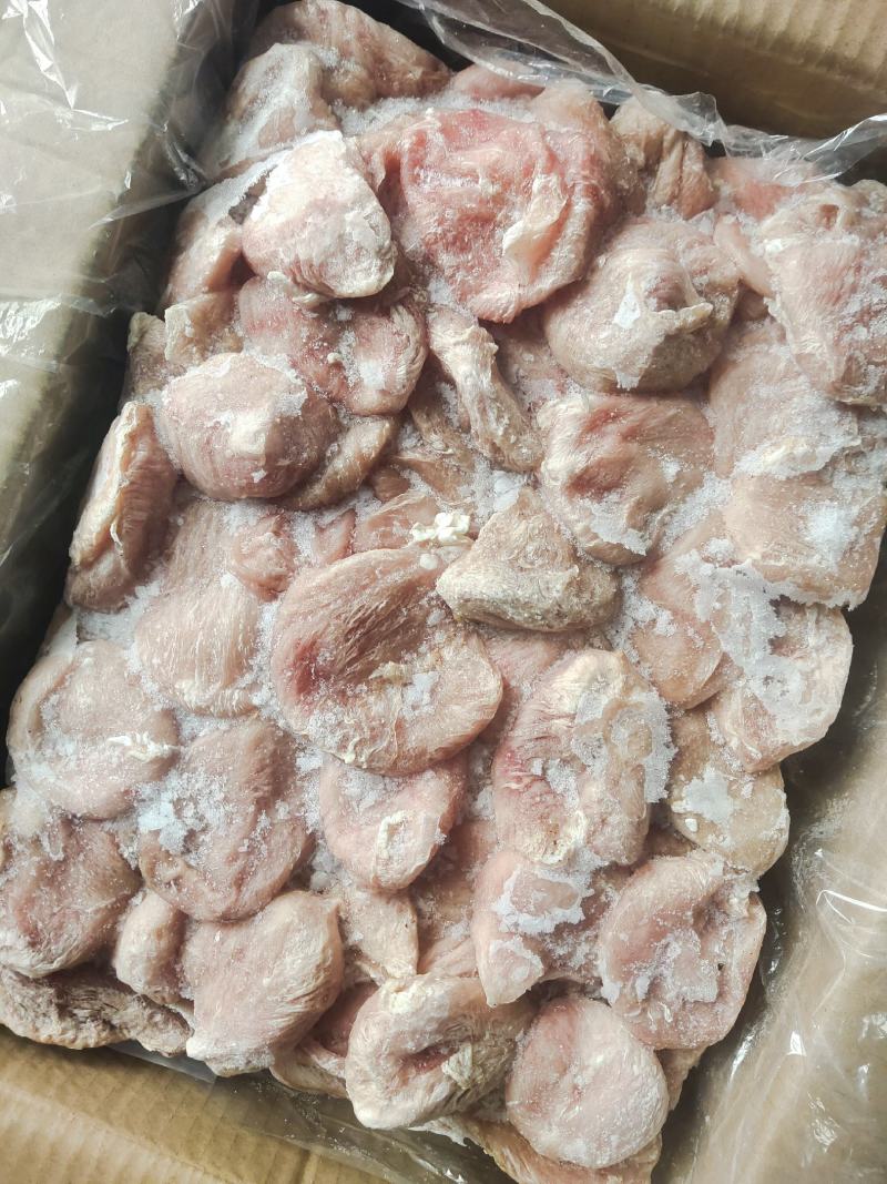 猪小肚，猪尿泡，宝肚肠衣，熟食必备，常年有货