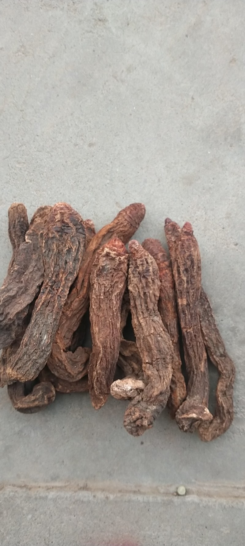 中药材/中药根茎类/锁阳/秋冬季锁阳片，长期有货