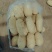 【土豆】山东土豆V7荷兰十五土豆大量上市品种齐全