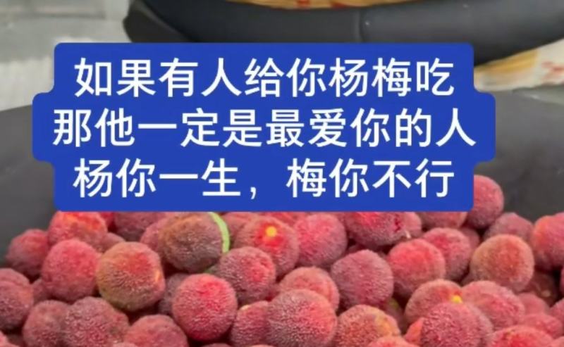 杨梅，真空礼盒包装顺丰发货