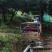 杨梅，真空礼盒包装顺丰发货