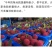 杨梅，真空礼盒包装顺丰发货