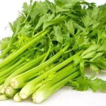 芹菜
