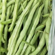 顺平无丝豆豆角大批量上市