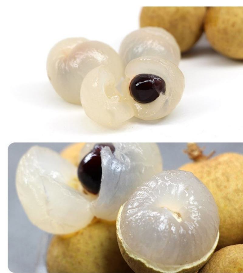 【推荐】精品龙眼产地直供石硖，储良龙眼，量大致电详谈