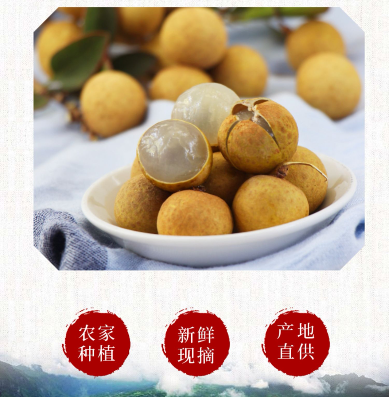 【推荐】精品龙眼产地直供石硖，储良龙眼，量大致电详谈