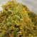 金银花