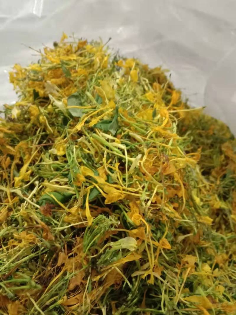 金银花