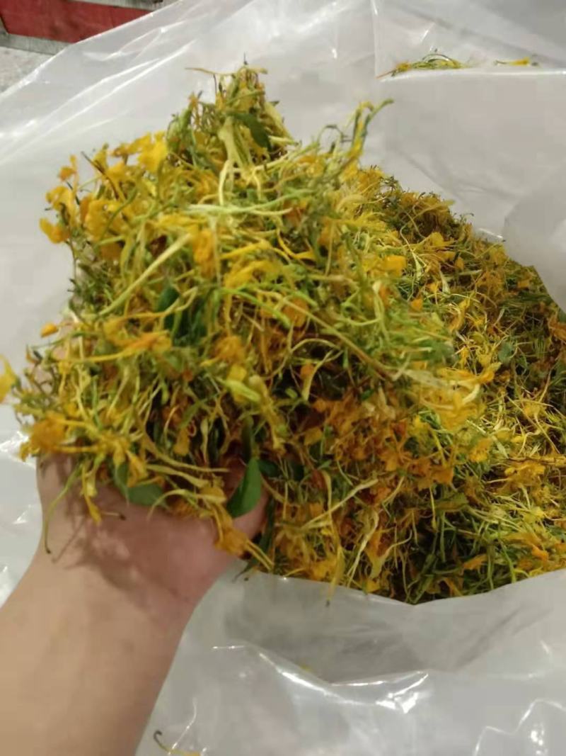 金银花