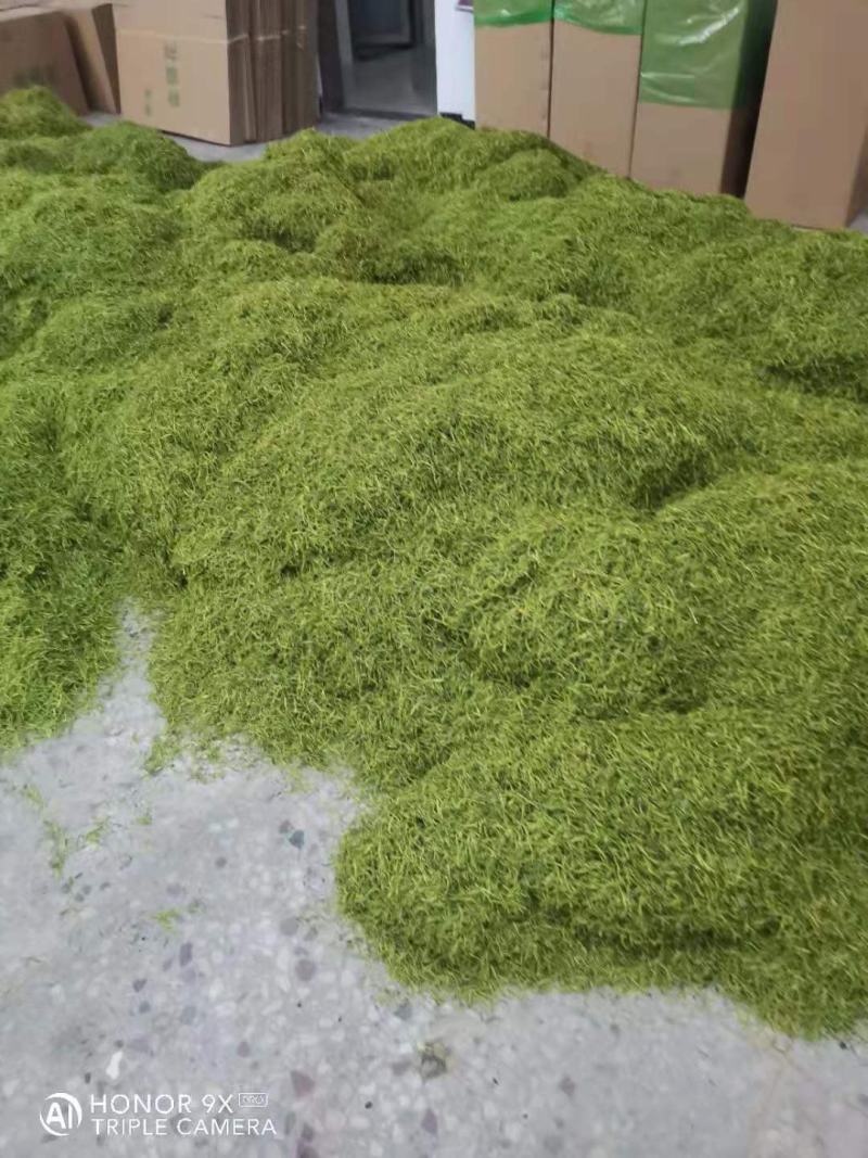 金银花
