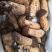 云南野生菌2022年牛肝菌鲜货