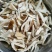 云南野生菌2022年牛肝菌鲜货