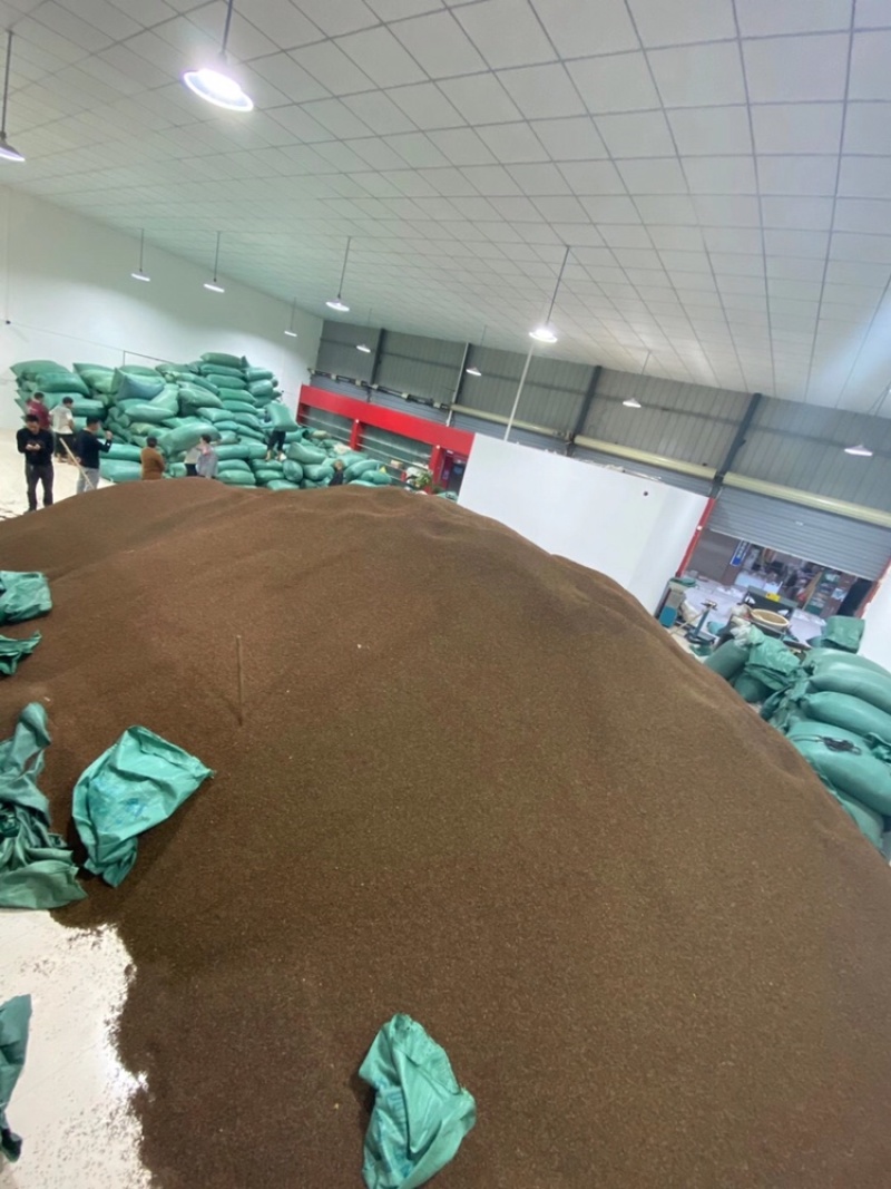 金阳青花椒产地直销新货即将上市欢迎提前预订