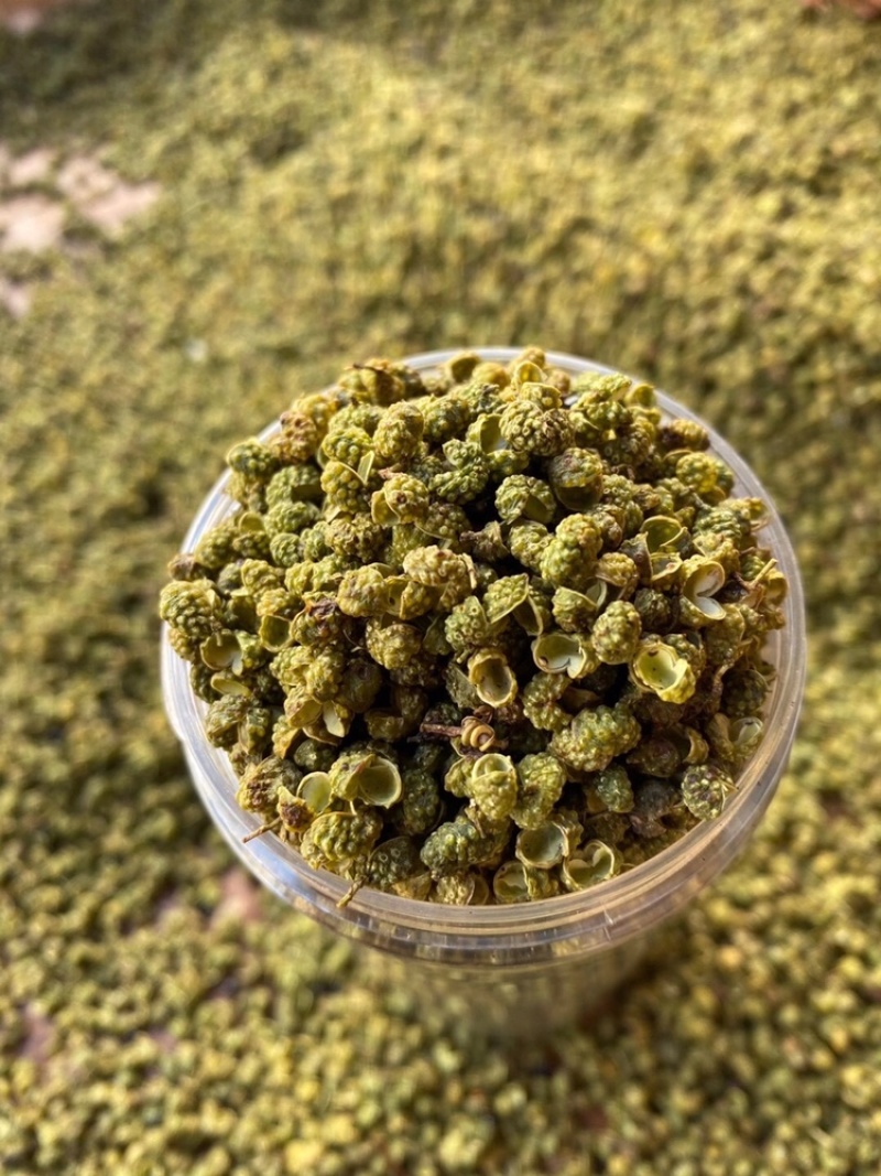 金阳青花椒产地直销新货即将上市欢迎提前预订