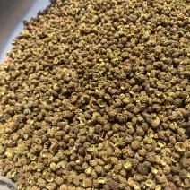 金阳青花椒产地直销新货即将上市欢迎提前预订