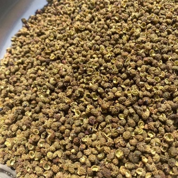 金阳青花椒产地直销新货即将上市欢迎提前预订