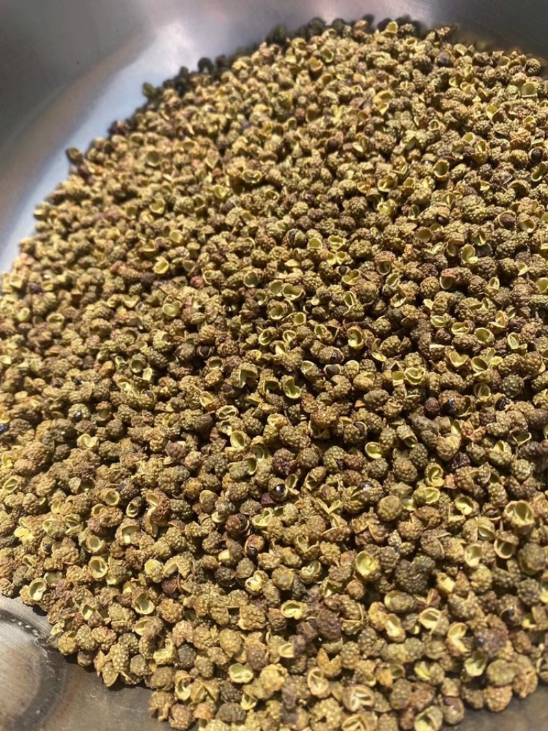 金阳青花椒产地直销新货即将上市欢迎提前预订