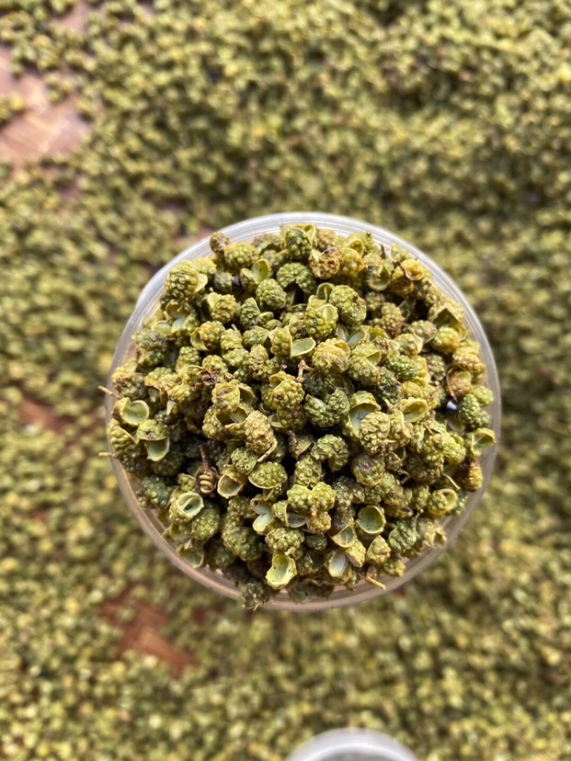 金阳青花椒产地直销新货即将上市欢迎提前预订