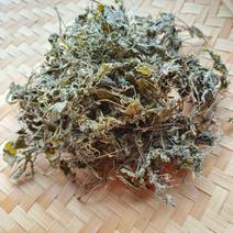 正宗野生藤茶莓茶、原生态藤茶2021新货